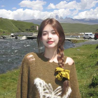 厕所骑士